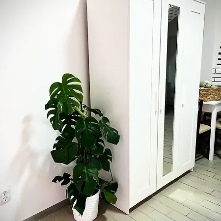 Vanila * Bela Crkva (Banat)