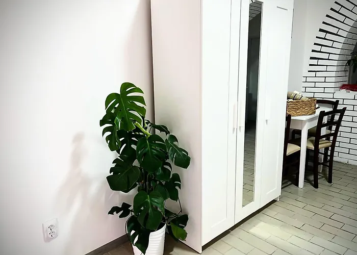 Vanila * بيلا تسركفا